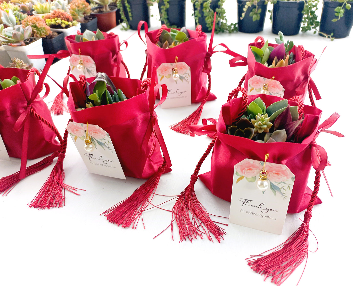 Elegant Fabric Drawstring Red Velvet Succulent Pouches