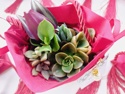 Elegant Fabric Drawstring Red Velvet Succulent Pouches