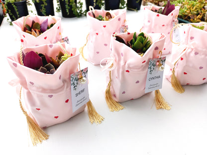 Elegant Fabric Drawstring Pink Heart Succulent Pouches