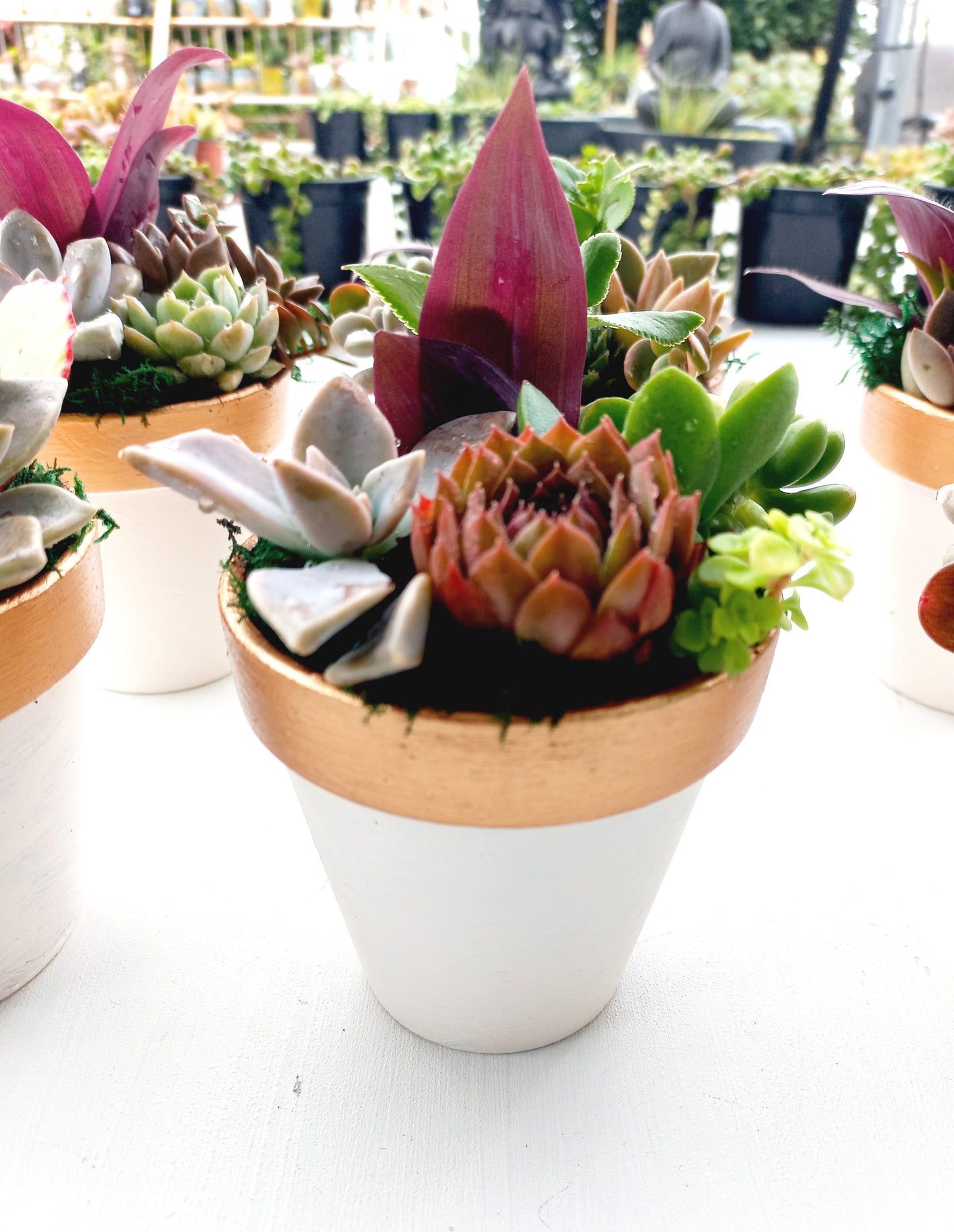 🌵White & Copper Succulent Clay Pots 🌵