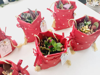 Elegant Fabric Drawstring Red Heart Succulent Pouches