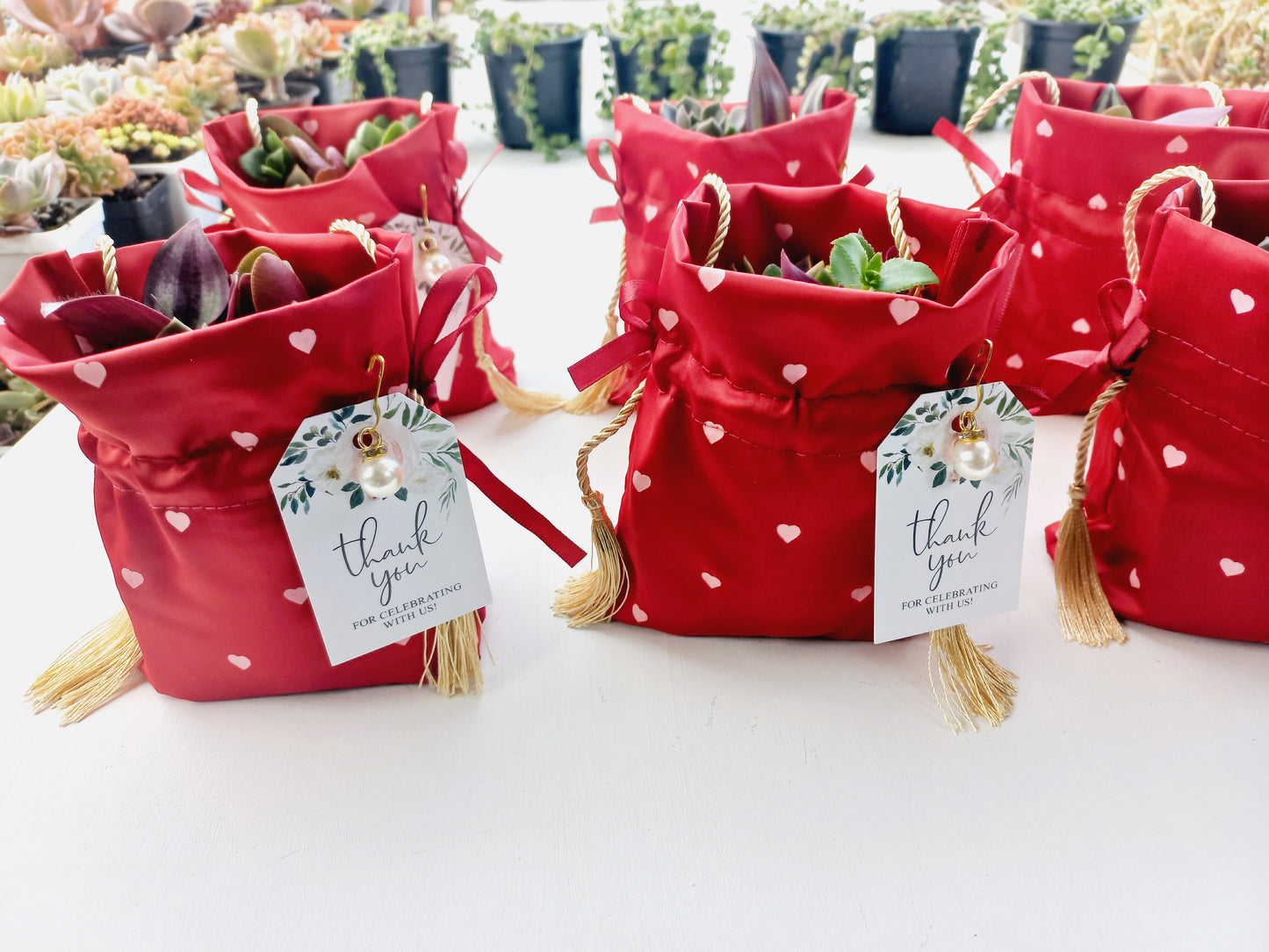 Elegant Fabric Drawstring Red Heart Succulent Pouches