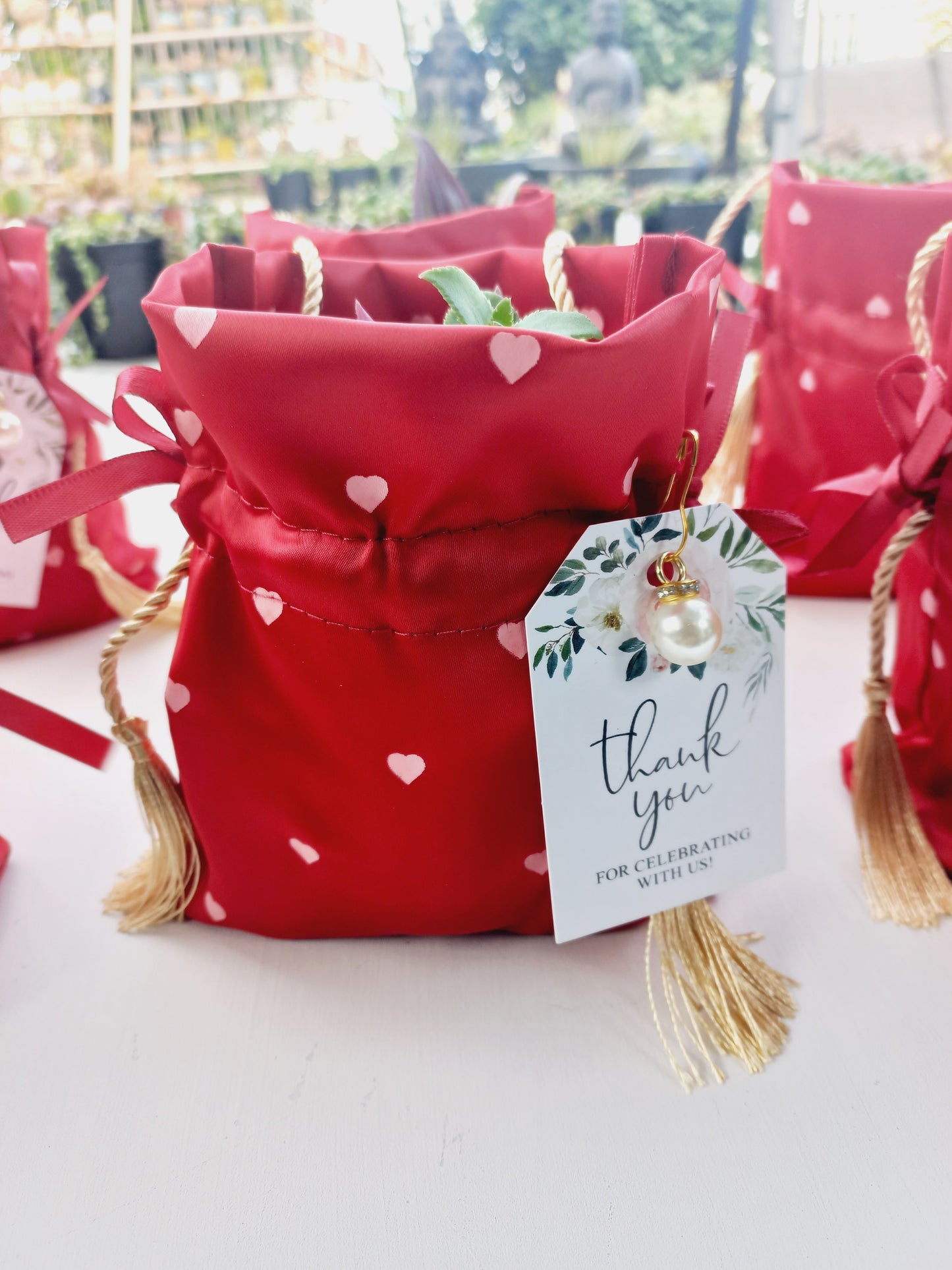 Elegant Fabric Drawstring Red Heart Succulent Pouches