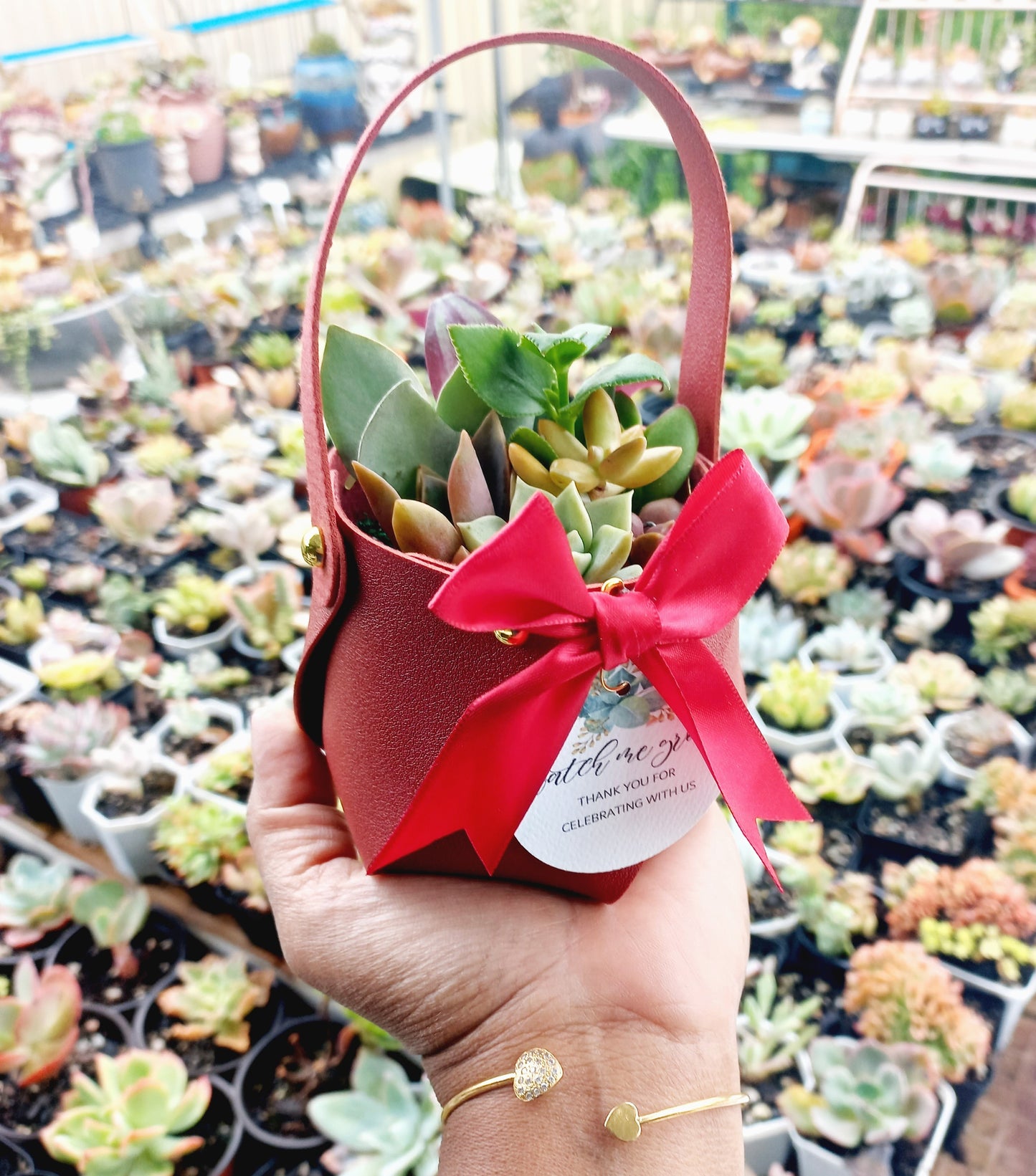 Succulent Baskets (Burgundy)