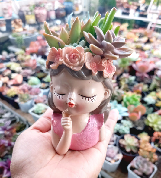 Princess girl Succulent pot - 110mm H