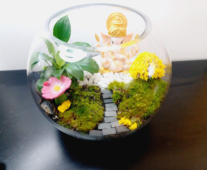 🌿 The Ganesh Moss Terrarium 🌿