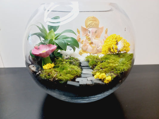 🌿 The Ganesh Moss Terrarium 🌿