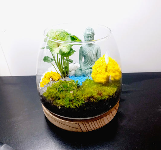🌿 The Buddha Garden – Serene Moss Terrarium 🌿