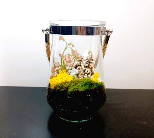 🌿 The Ganesh Hanging Moss Terrarium 🌿
