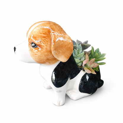 Beagle Dog Succulent pot - For Pet lovers❤️
