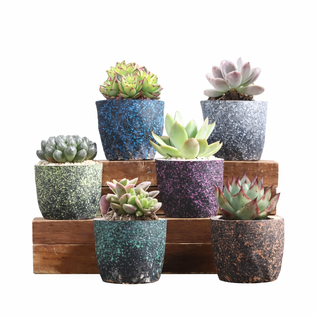 Set of 6 Mini Textured Pots