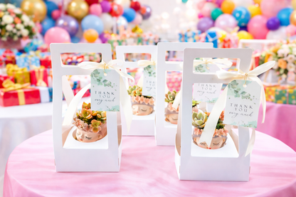 Luxury Fairy Princess Succulent Pots – Elegant Return Gifts