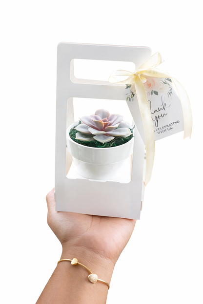 Succulent Clay Pots