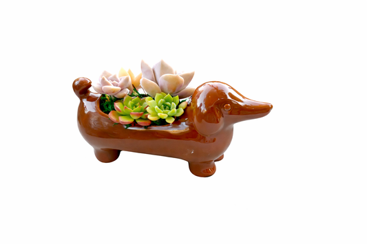 Mini Brown Dachshund Dog Succulent pot - For Pet lovers❤️