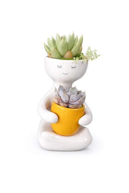 Person holding a Succulent Pot (20cm) - Mustard