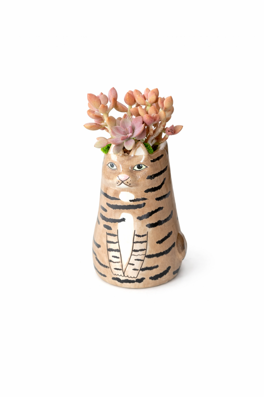 Sitting Brown Cat Succulent pot - For Pet lovers❤️