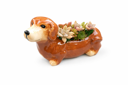 Brown Dachshund Dog Succulent pot - For Pet lovers❤️