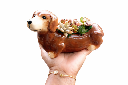 Brown Dachshund Dog Succulent pot - For Pet lovers❤️