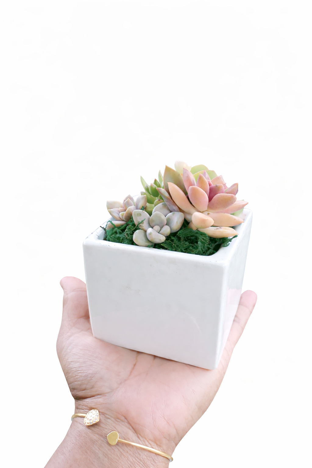 Modern cube Pots - Perfect Succulent gift pots