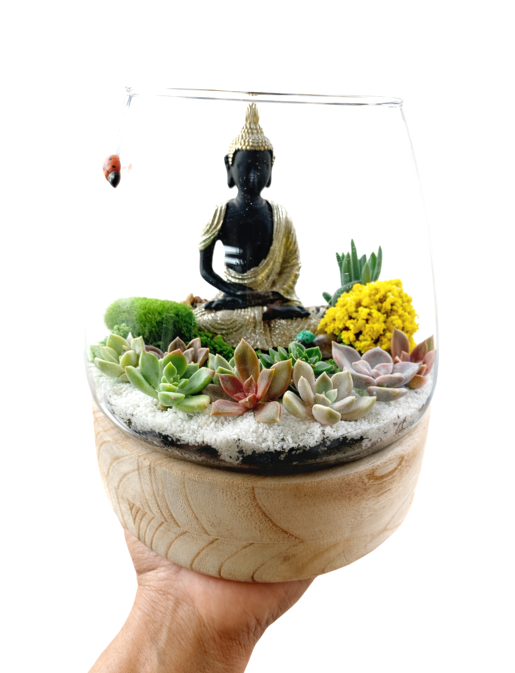 Buddha Succulent Terrarium DIY Kit – Create Your Own Mini Zen Garden