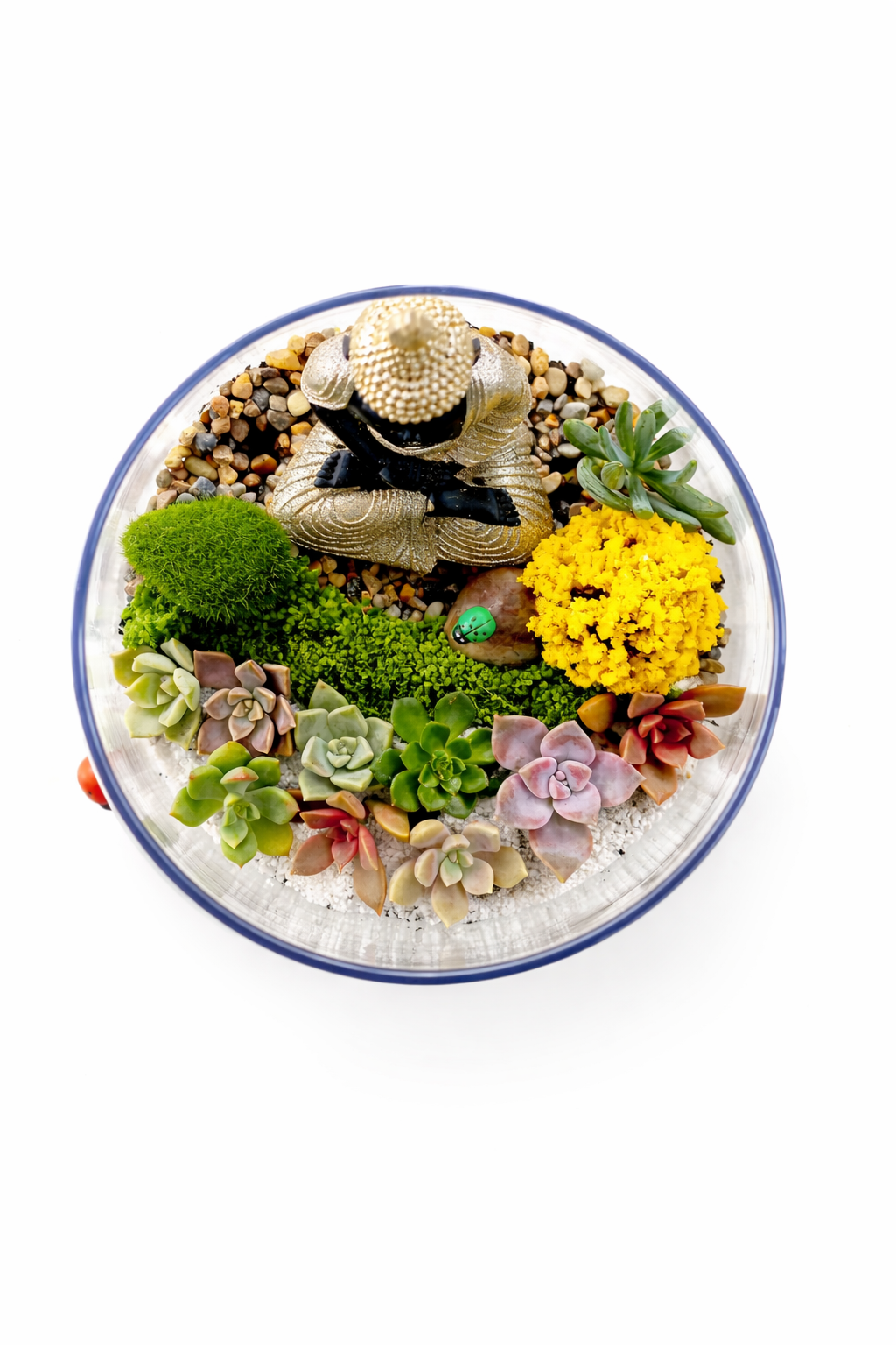 Buddha Succulent Terrarium DIY Kit – Create Your Own Mini Zen Garden