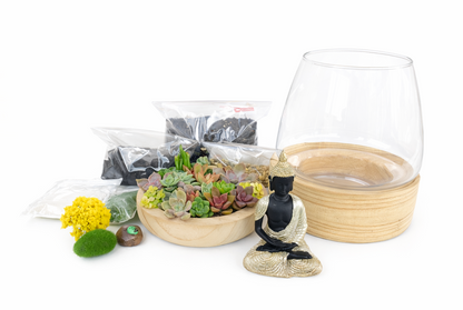 Buddha Succulent Terrarium DIY Kit – Create Your Own Mini Zen Garden