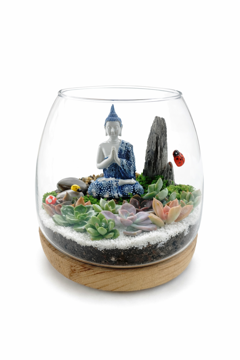 Create Your Own Buddha Succulent Terrarium – DIY Kit