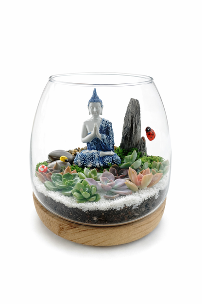 Create Your Own Buddha Succulent Terrarium – DIY Kit
