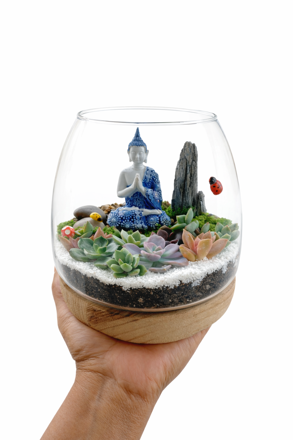 Create Your Own Buddha Succulent Terrarium – DIY Kit