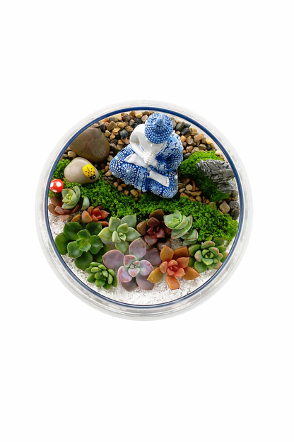 Create Your Own Buddha Succulent Terrarium – DIY Kit