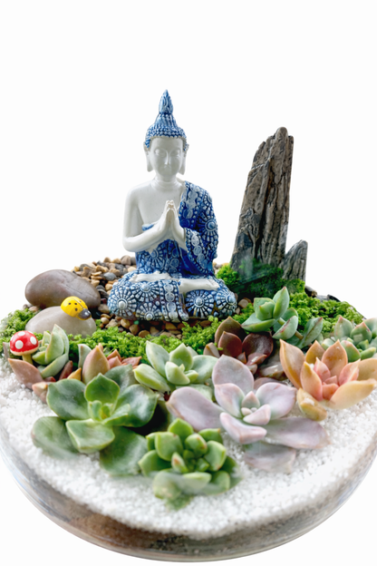 Create Your Own Buddha Succulent Terrarium – DIY Kit