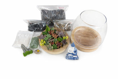 Create Your Own Buddha Succulent Terrarium – DIY Kit