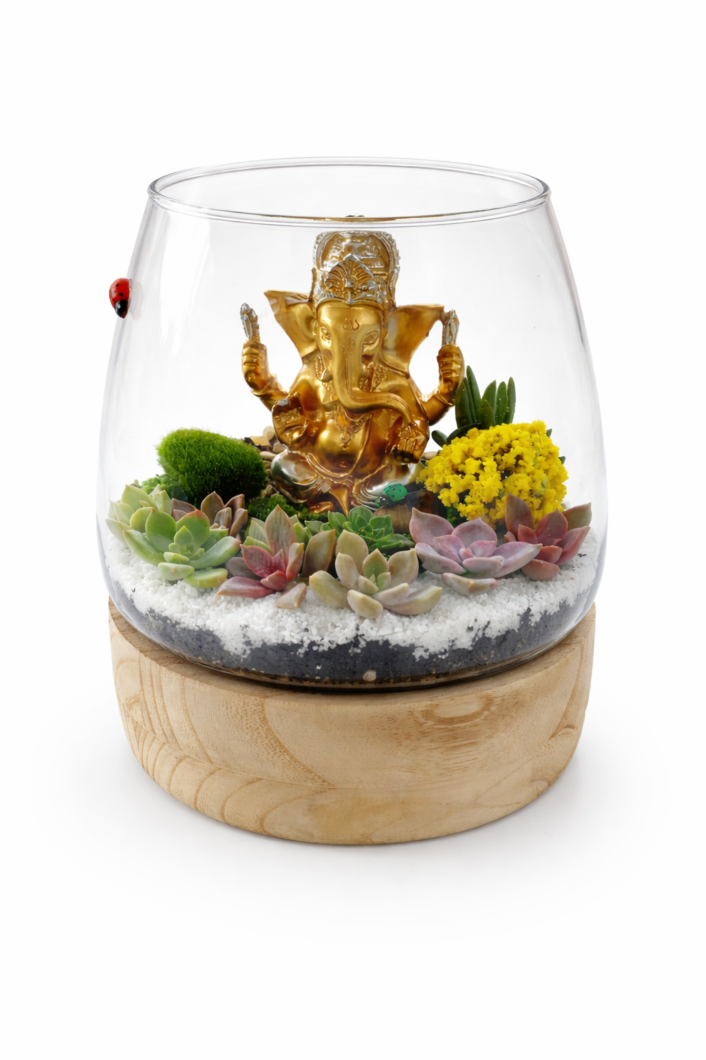 Ganesh Mini Garden DIY Kit – Succulent Terrarium Set