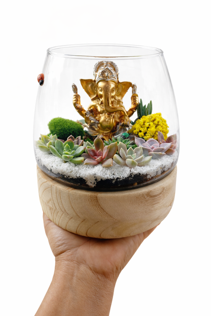 Ganesh Mini Garden DIY Kit – Succulent Terrarium Set