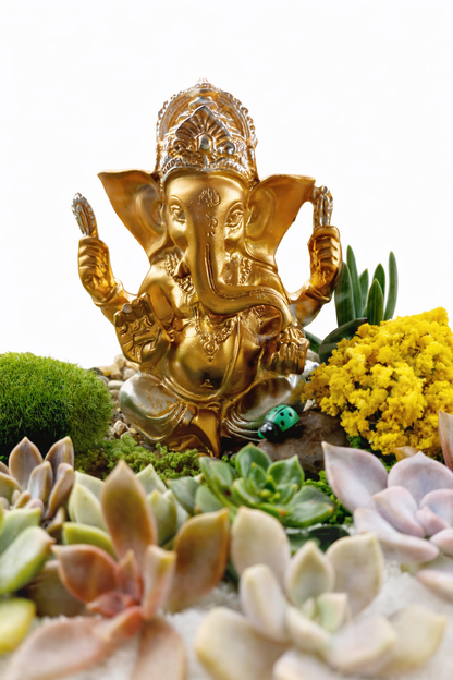 Ganesh Mini Garden DIY Kit – Succulent Terrarium Set