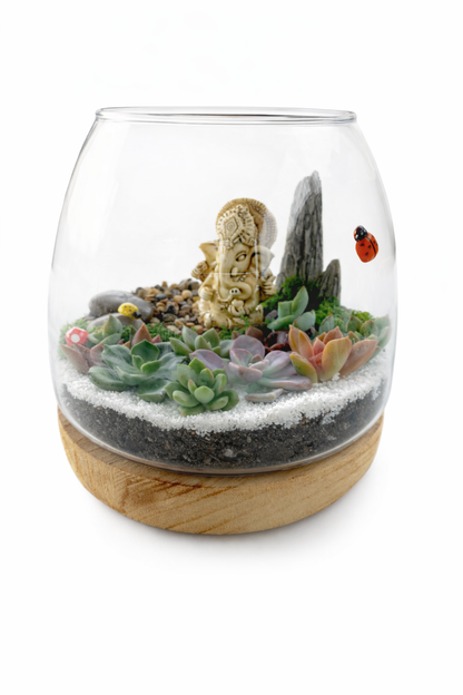 Ganesh Succulent Terrarium DIY Kit – Create Your Own Mini Garden