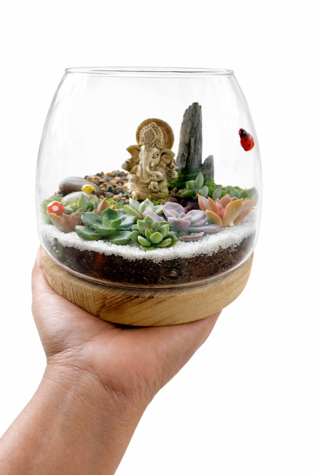 Ganesh Succulent Terrarium DIY Kit – Create Your Own Mini Garden