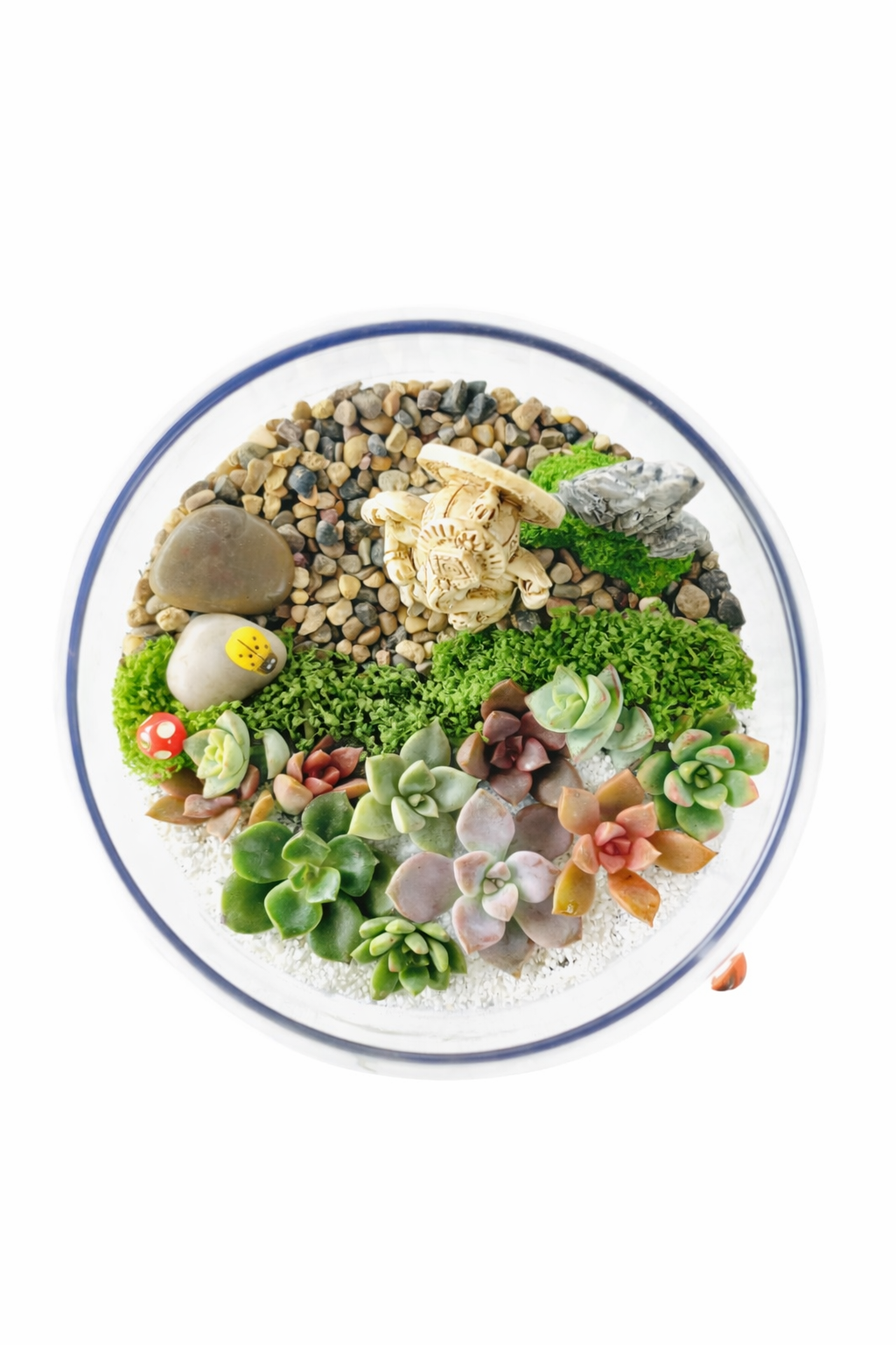 Ganesh Succulent Terrarium DIY Kit – Create Your Own Mini Garden