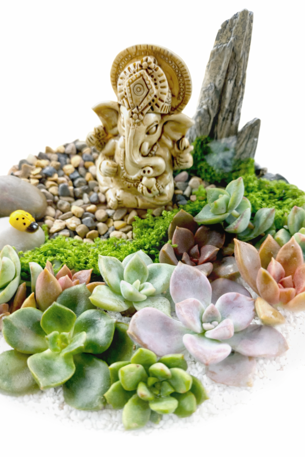 Ganesh Succulent Terrarium DIY Kit – Create Your Own Mini Garden