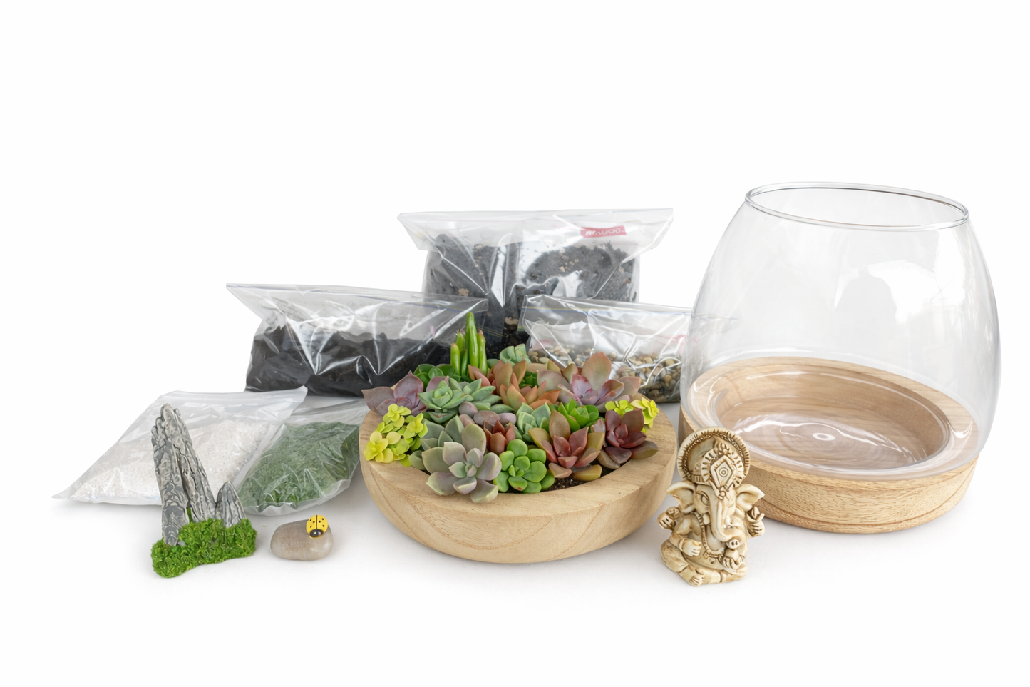 Ganesh Succulent Terrarium DIY Kit – Create Your Own Mini Garden