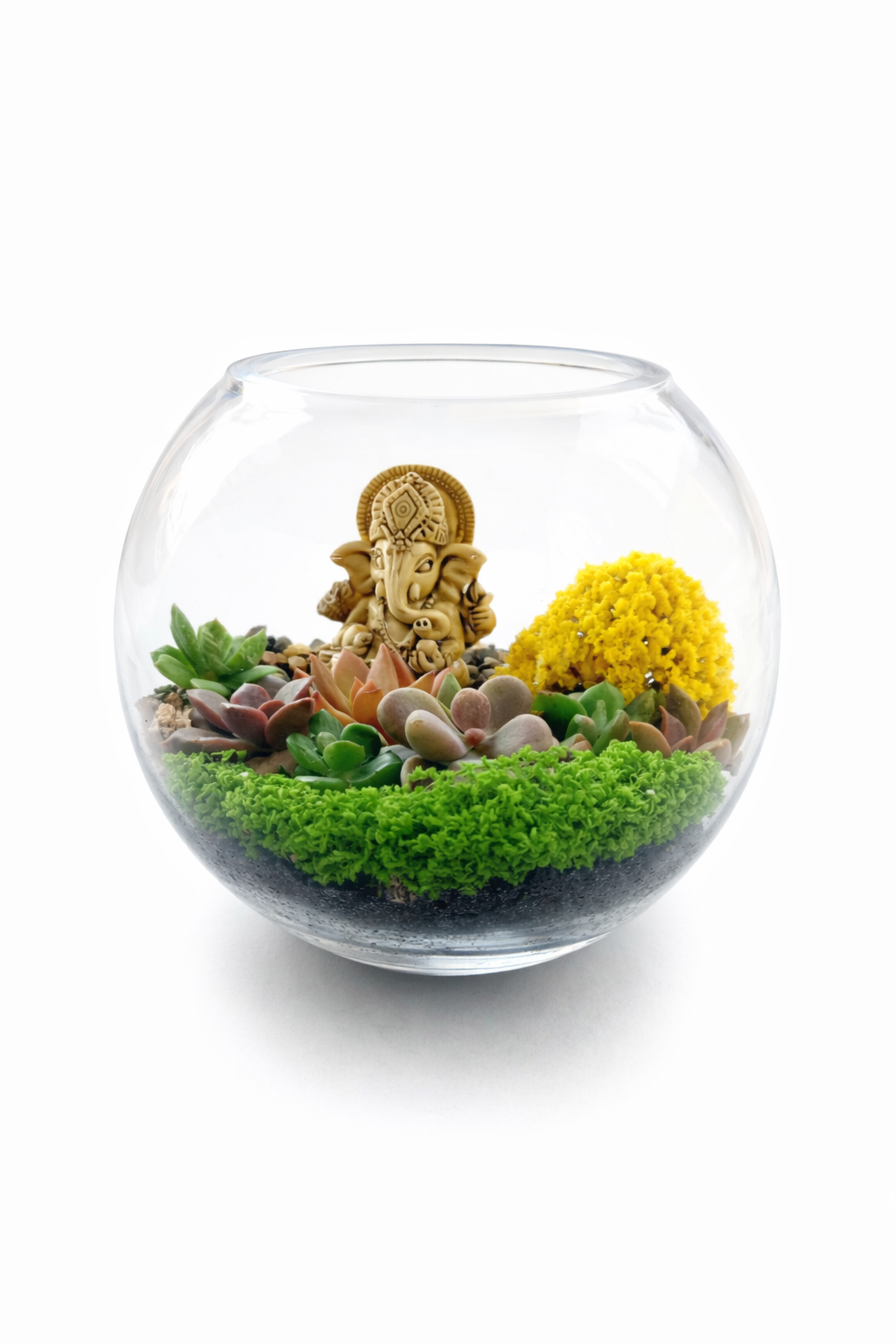 Ganesh Mini Garden Bowl DIY Kit – Succulent Terrarium Set