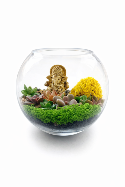 Ganesh Mini Garden Bowl DIY Kit – Succulent Terrarium Set