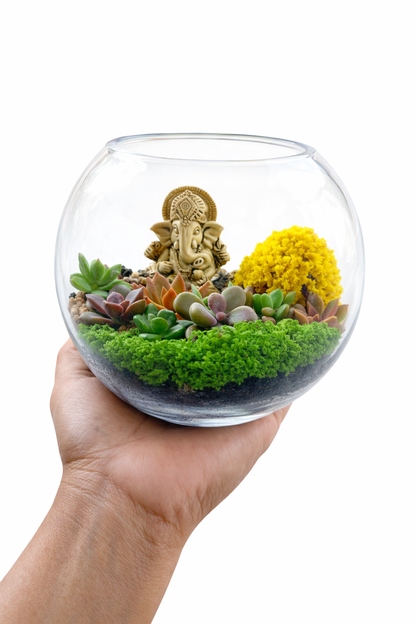 Ganesh Mini Garden Bowl DIY Kit – Succulent Terrarium Set