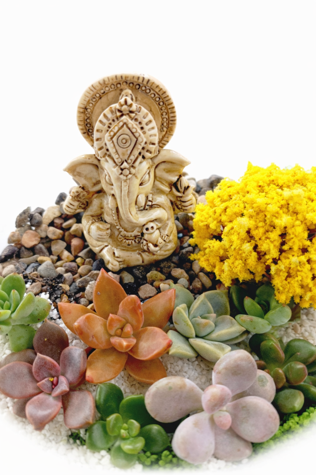 Ganesh Mini Garden Bowl DIY Kit – Succulent Terrarium Set