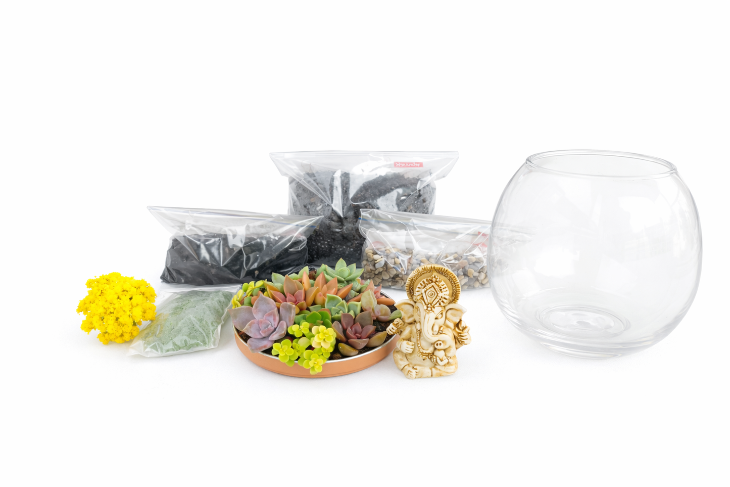Ganesh Mini Garden Bowl DIY Kit – Succulent Terrarium Set