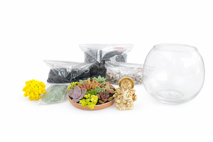 Ganesh Mini Garden Bowl DIY Kit – Succulent Terrarium Set