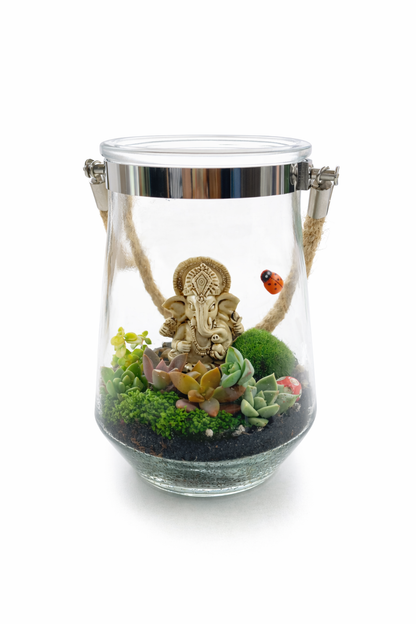 DIY Hanging Ganesha Succulent Terrarium Kit