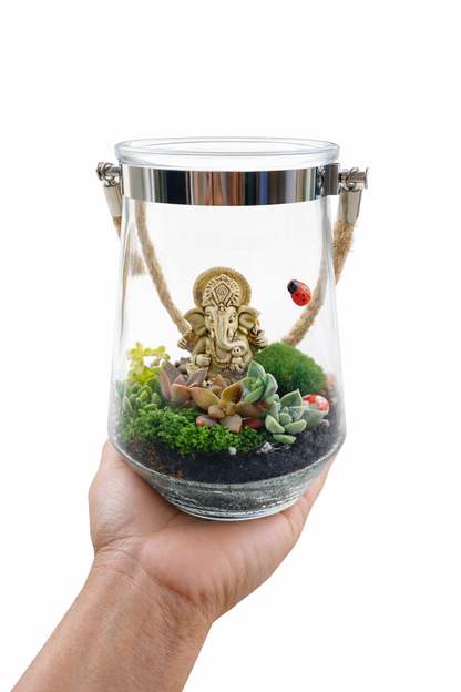 DIY Hanging Ganesha Succulent Terrarium Kit