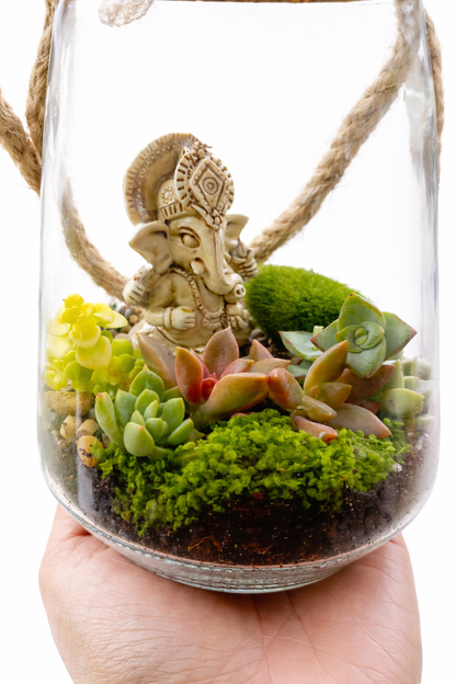 DIY Hanging Ganesha Succulent Terrarium Kit