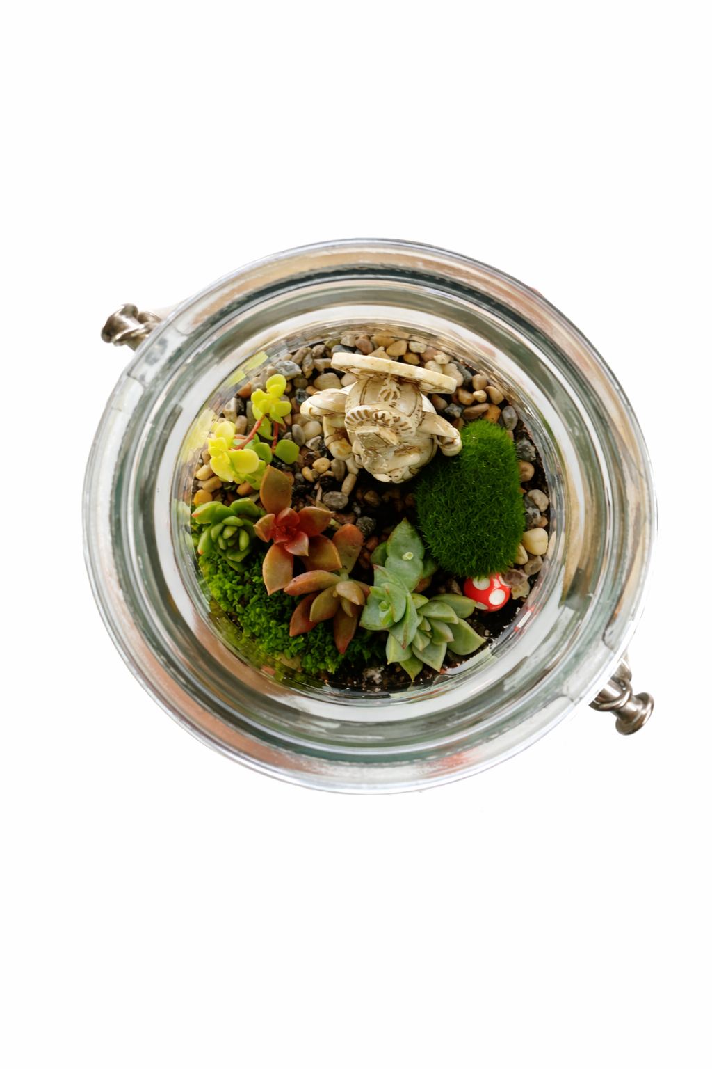 DIY Hanging Ganesha Succulent Terrarium Kit
